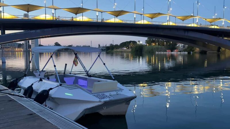 Seville from the River: Electric water taxi ride, TAXI SHIP. - Final Thoughts