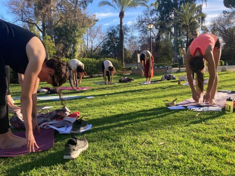 seville-group-yoga-classes-all-levels-in-french
