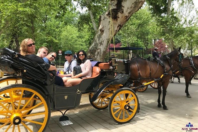 seville-guided-horse-carriage-private-tour