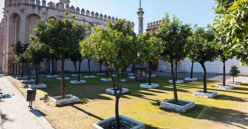 seville-guided-tour-of-san-isidoro-del-campo-monastery