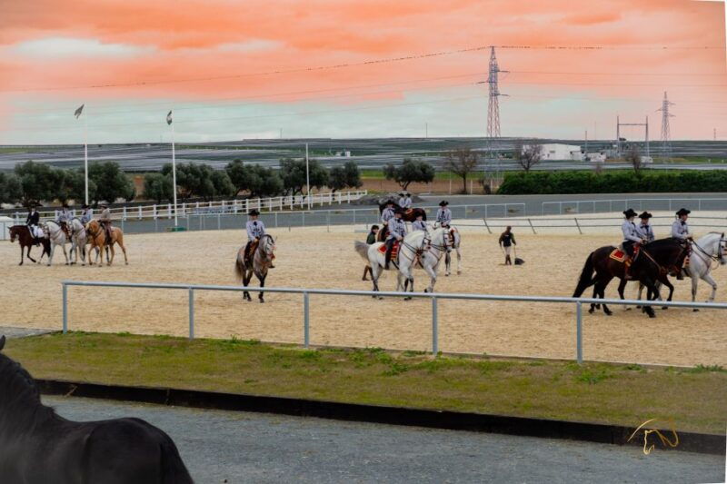 seville-horses-show-entry-ticket-optional-stud-farm-visit