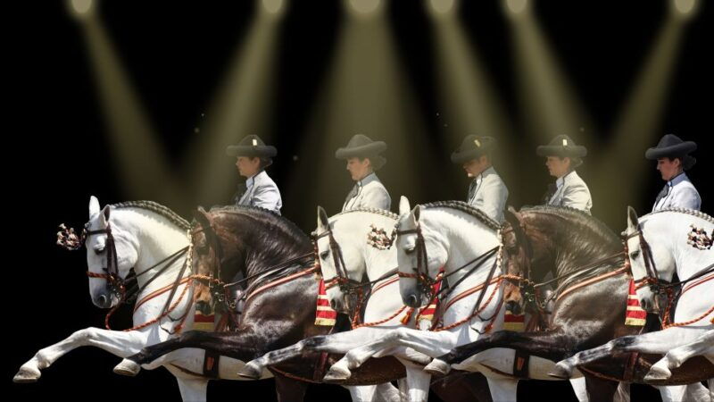 seville-horses-show-entry-ticket-optional-stud-farm-visit