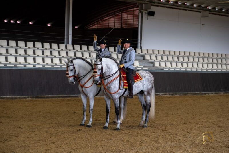 seville-horses-show-entry-ticket-optional-stud-farm-visit