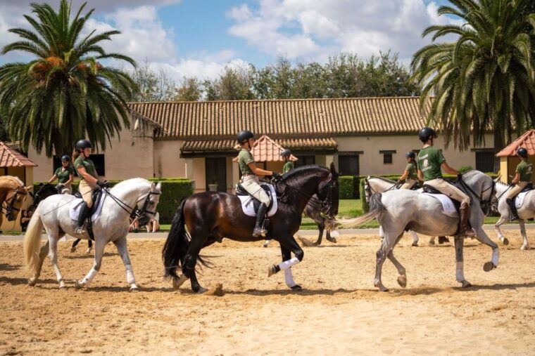 seville-horses-show-entry-ticket-optional-stud-farm-visit