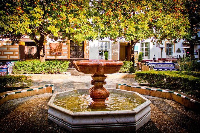 Seville in a Day: Private Tour Vip - The Value of a Private, Custom Tour