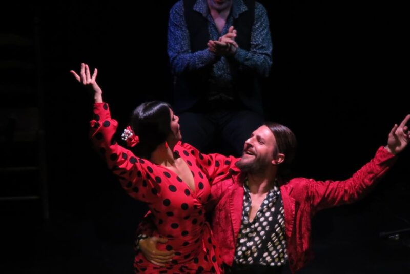 seville-live-flamenco-show-at-teatro-flamenco-triana