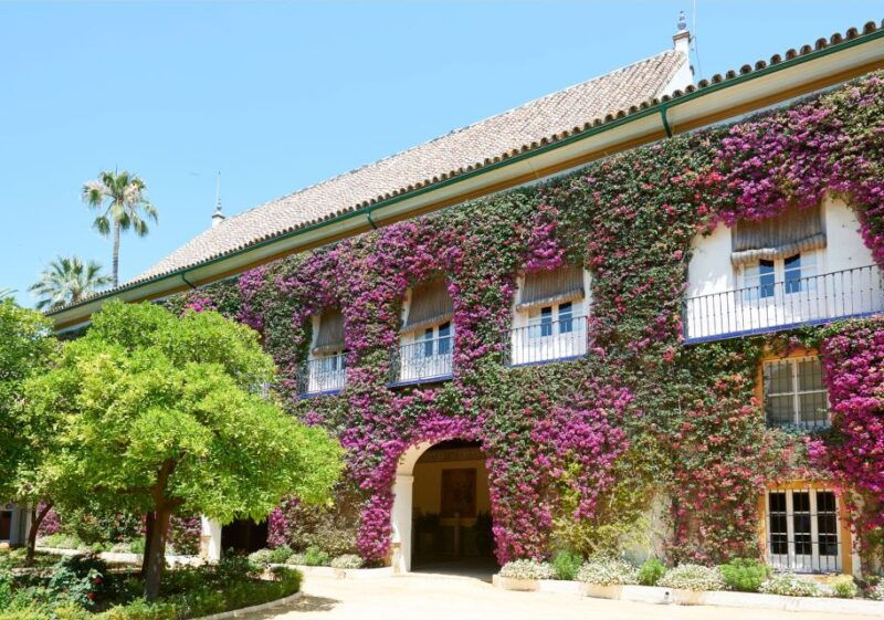 seville-palacio-de-las-duenas-entry-ticket-and-guided-tour