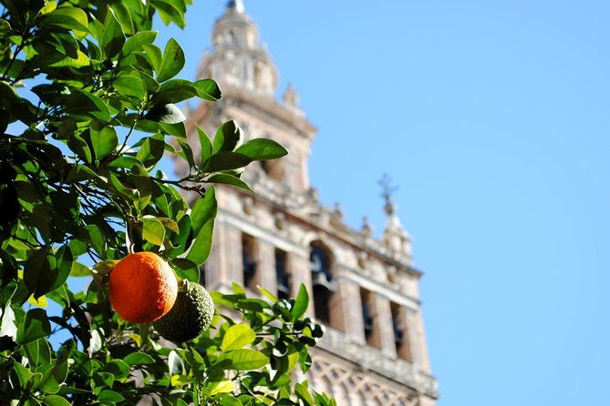seville-panoramic-walking-tour