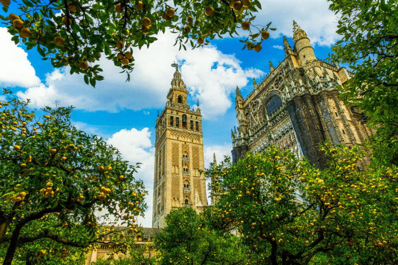 seville-priority-access-cathedral-giralda-alcazar-tour-2