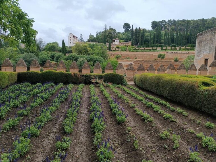 seville-private-day-trip-to-granada-with-alhambra-entry