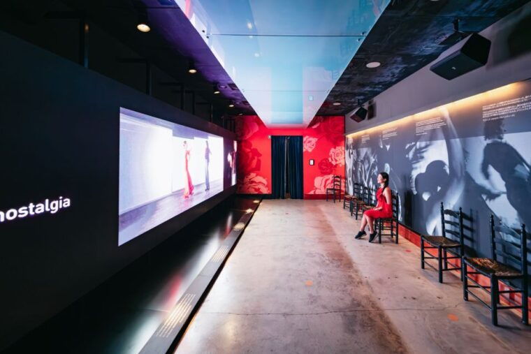 seville-puro-flamenco-show-with-optional-museum-ticket