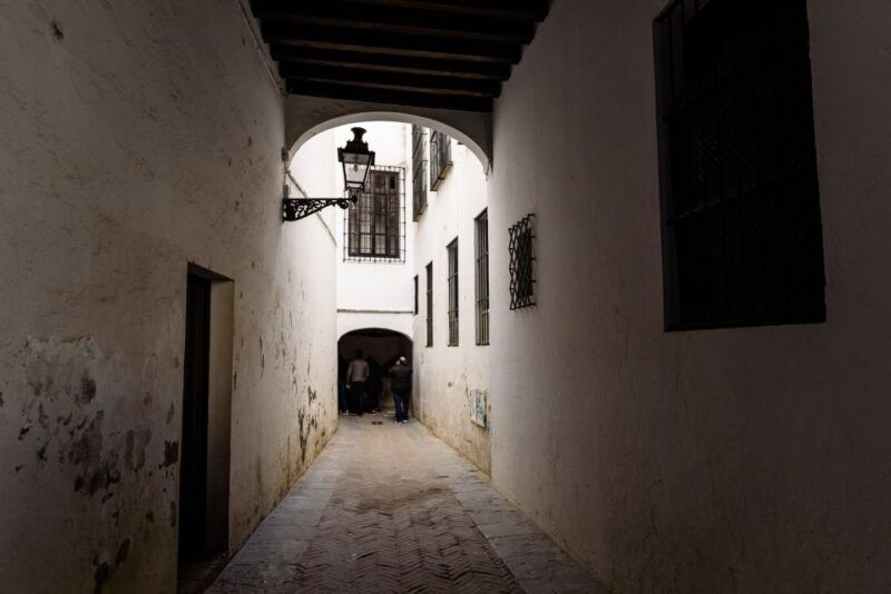 seville-santa-cruz-private-tour