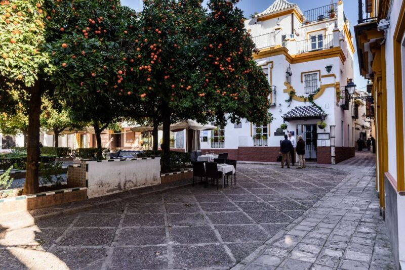 seville-santa-cruz-private-tour