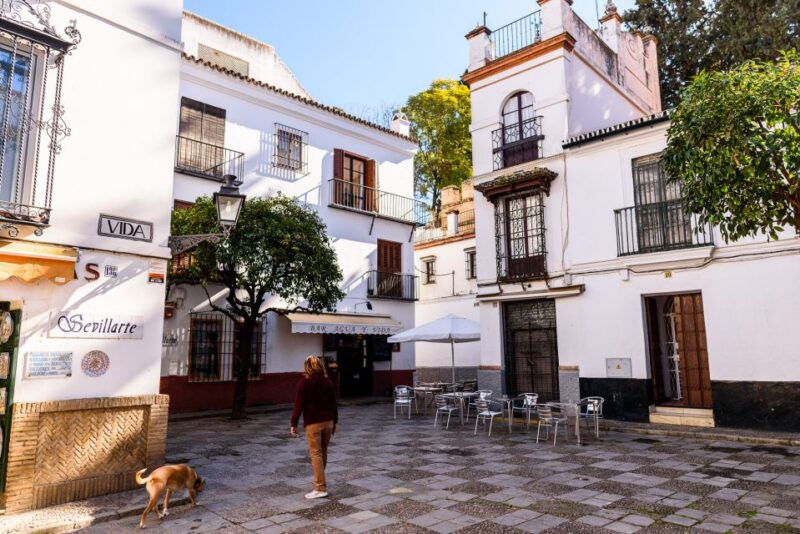 seville-santa-cruz-private-tour