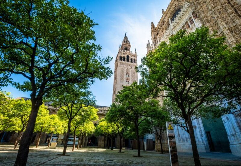 seville-small-group-cathedral-and-giralda-tour-with-tickets