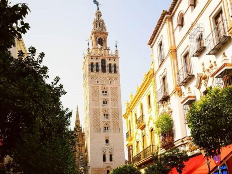 seville-tapas-tour-with-wine-and-rooftop-drinks