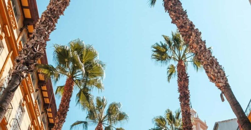 seville-transfer-to-malaga-with-visit-to-ronda