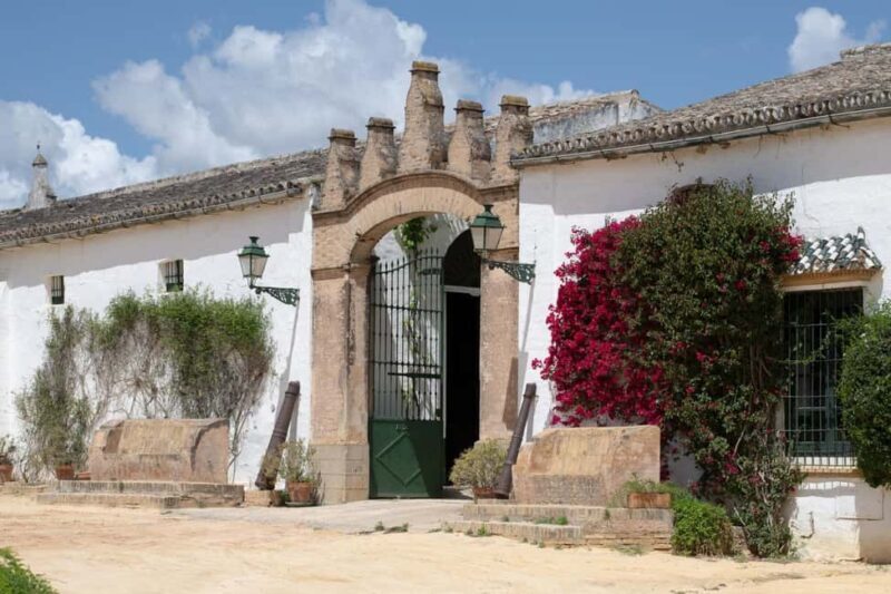 Seville: Visit Bodegas Góngora - The Sum Up