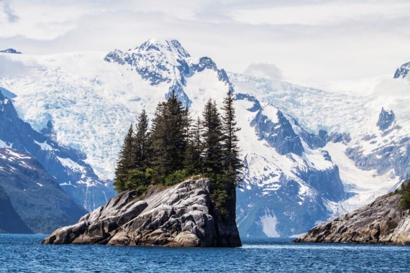 Seward: Kenai Fjords National Park Catamaran Cruise w/Lunch - A Deep Dive: What the Tour Looks Like and Why It Matters