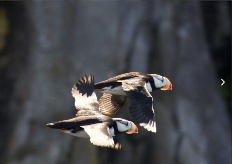 Seward: Kenai Fjords National Park Catamaran Cruise w/Lunch - Frequently Asked Questions