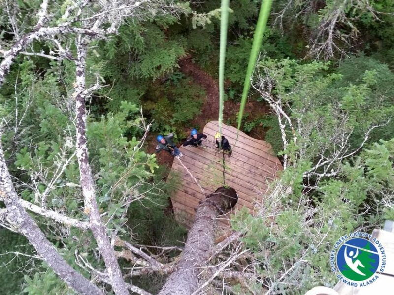 seward-stoney-creek-canopy-tour-with-zipline