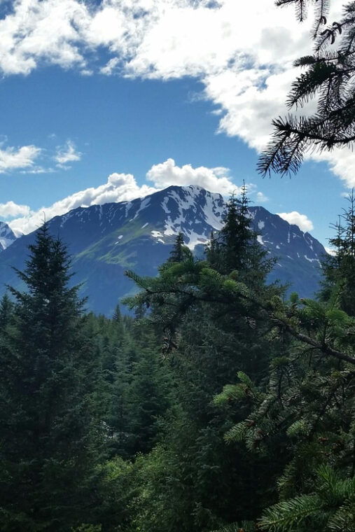 seward-stoney-creek-canopy-tour-with-zipline