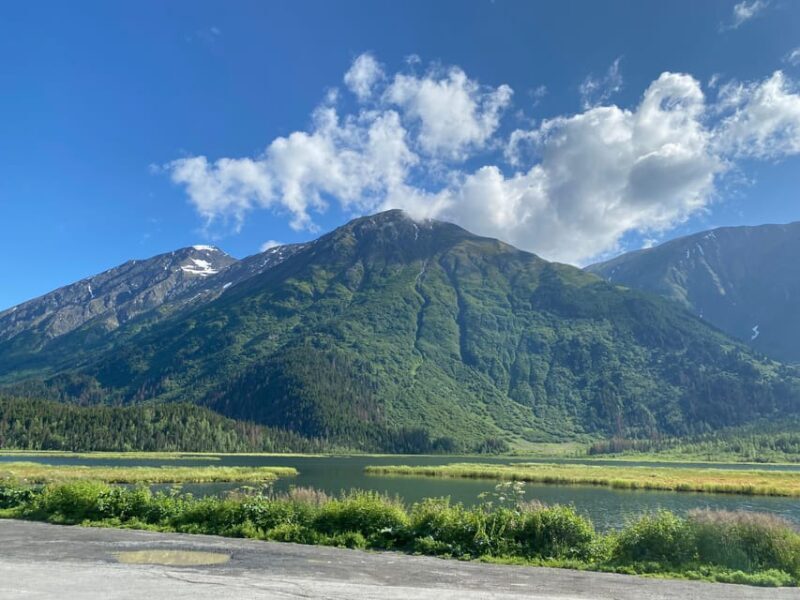 Seward: To Anchorage Full Day Transit Tour with Port Pickup - Who Should Consider This Tour?