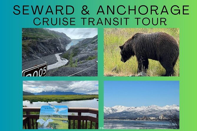 seward-to-anchorage-land-transfer-tour
