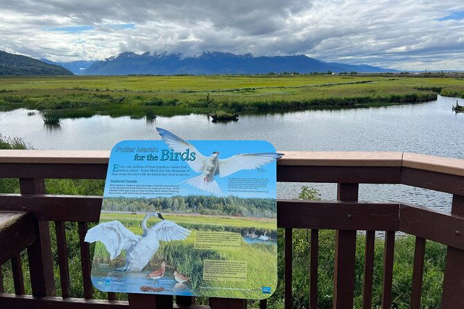 seward-to-anchorage-land-transfer-tour