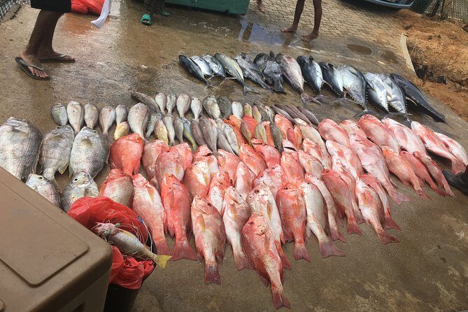 Seychelles Fishing - Key Points
