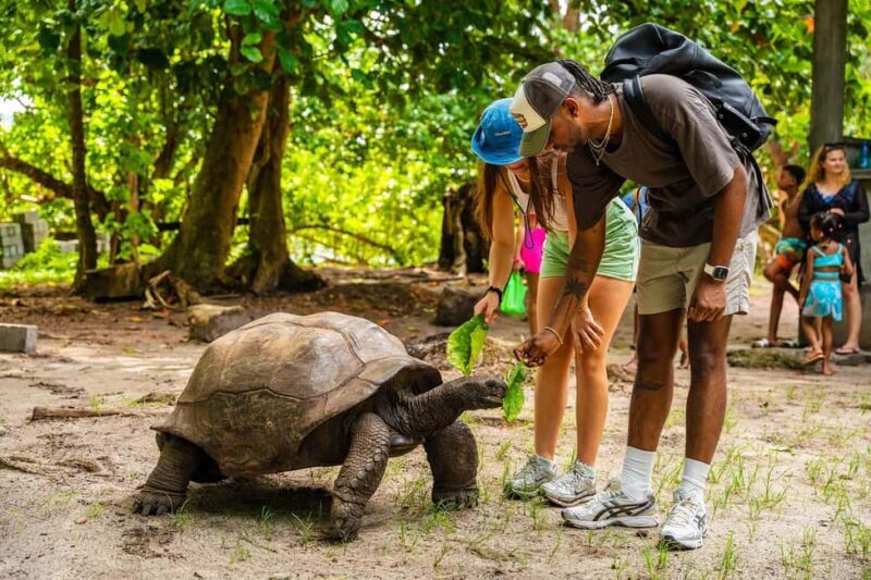 Seychelles: St Pierre and Curieuse Catamaran Tour with Lunch - Practical Aspects