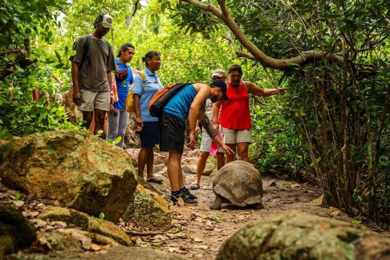 Seychelles: St Pierre and Curieuse Catamaran Tour with Lunch - The Value of This Tour