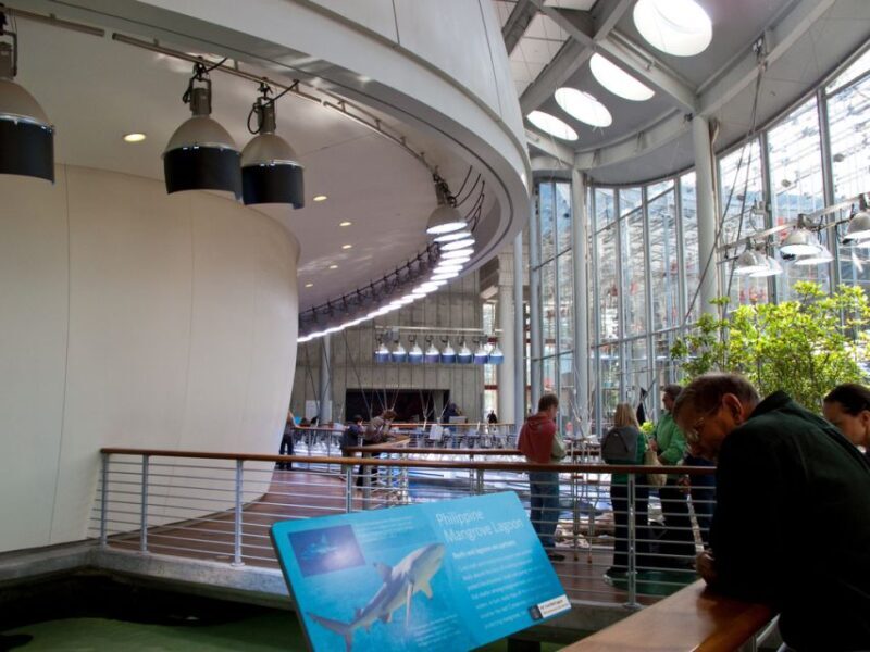 SF: CA Academy of Sciences & Hop-on Hop-off Tour (Save 15%) - Discovering San Francisco: A Complete Experience