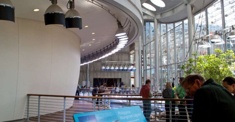 SF: CA Academy of Sciences & Hop-on Hop-off Tour (Save 15%) - Who Will Love This Experience?
