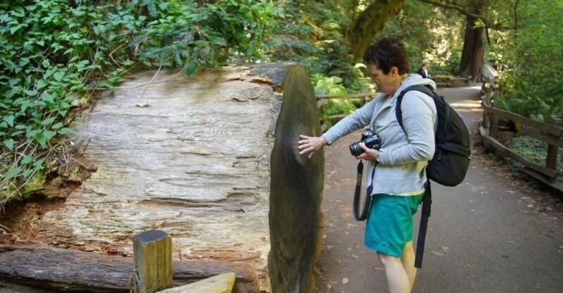 SF: Guided Muir Woods Tour & Hop-On Hop-Off Tour (Save 15%) - Key Points