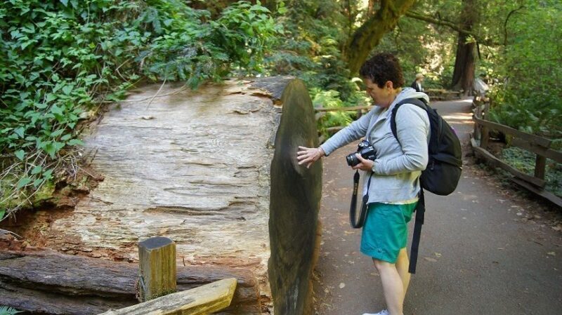 SF: Guided Muir Woods Tour & Hop-On Hop-Off Tour (Save 15%) - The Experience in Detail