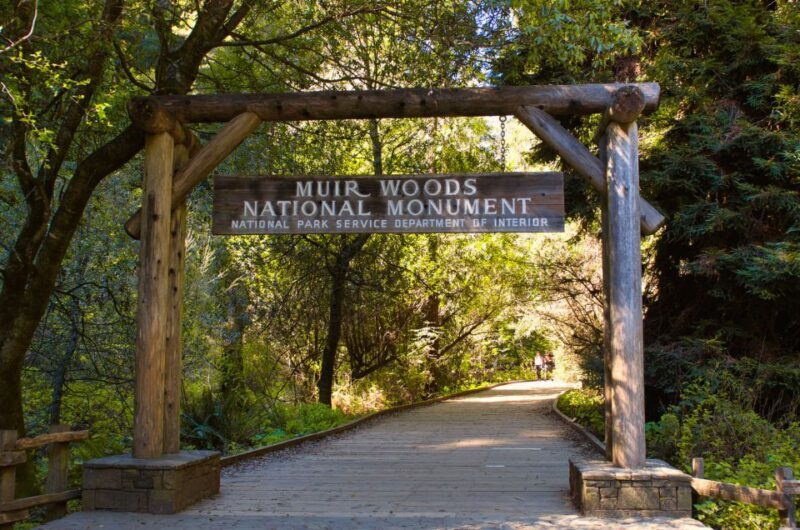 SF: Muir Woods, Sausalito, Golden Gate Bridge Private Tour - Key Points