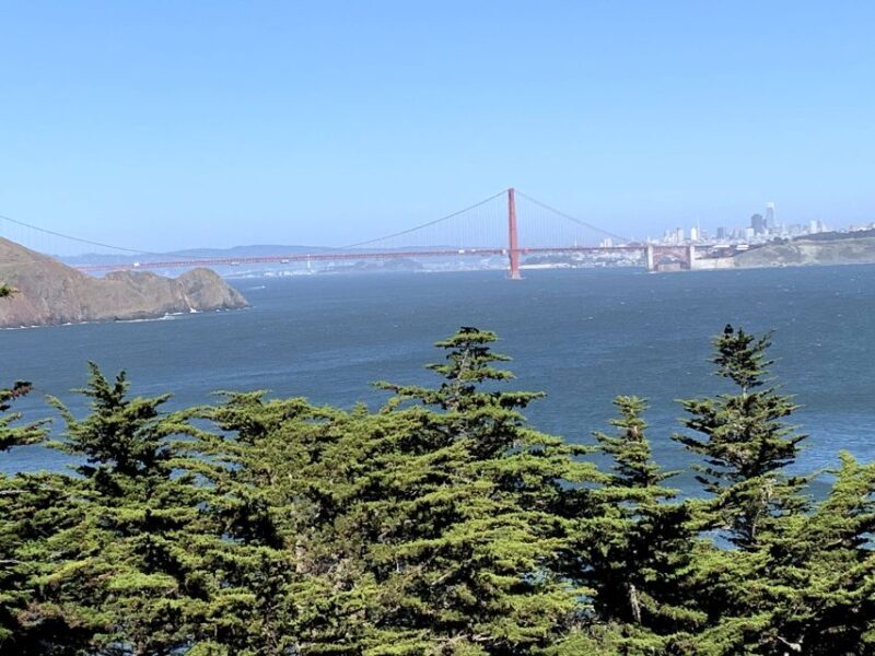 SF: Muir Woods, Sausalito, Golden Gate Bridge Private Tour - Authentic Insights from Past Travelers