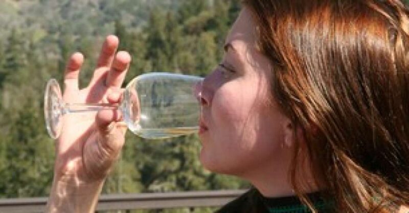 SF: Napa & Sonoma Wine Tour & Hop-on Hop-off Tour (Save 15%) - A Detailed Look at the Tour Experience