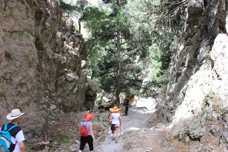 Sfakia Private Escape: Imbros Gorge, History & Hidden Beach - Key Points