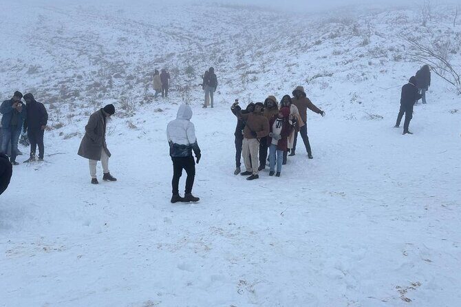 Shahdag Tour and Candy Cane Mountains tour - Evaluating the Cost and Overall Value