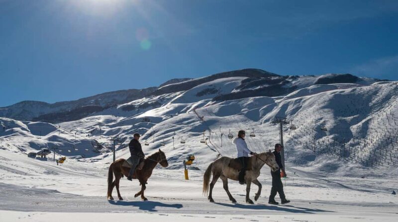 Shahdag Winter & Summer Tourist Complex Guided Tour - Why This Tour Works for Different Travelers