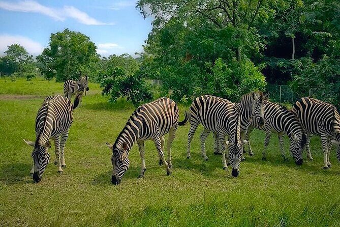 Shai Hills Half Day Accra Safari, Hike & see Animals - An Introduction to Shai Hills Resource Reserve