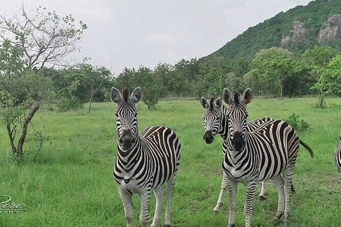 Shai Hills Half Day Accra Safari, Hike & see Animals - The Experience from a Traveler’s Perspective