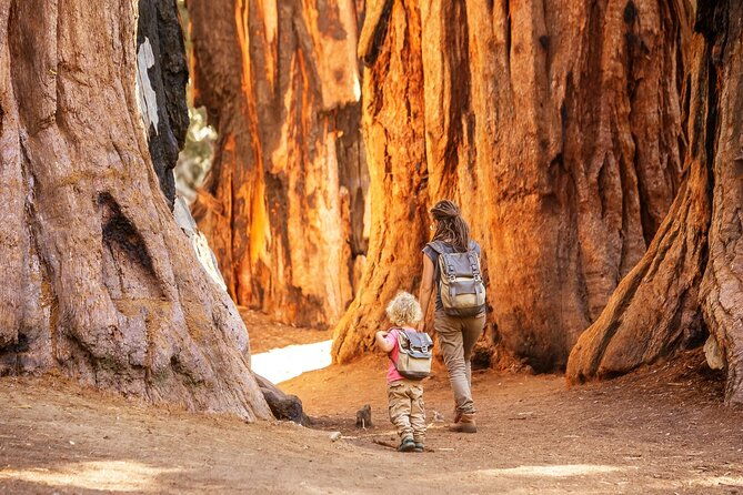 shaka-guide-sequoia-national-park-audio-tour-guide