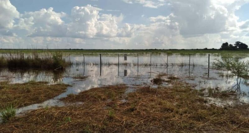 Shakawe: 3-Day Okavango Eastern Panhandle Safari - Accommodation and Meals: Comfort Meets Authenticity