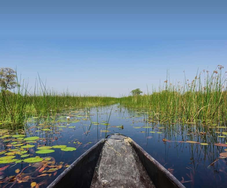 Shakawe: 3-Day Okavango Eastern Panhandle Safari - The Practicalities: What You Need to Know