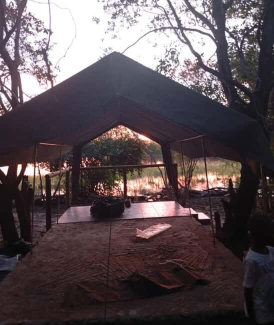 Shakawe: 3-Day Okavango Eastern Panhandle Safari - Final Thoughts: Is This Safari for You?