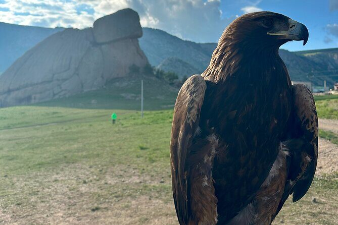 Shaman Encounter and Shambala Energy Center - The Sum Up