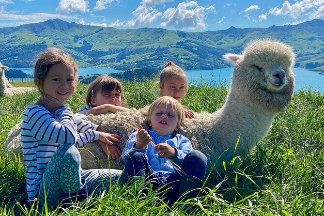 Shamarra Alpaca Farm Tours - Who Should Consider This Tour?
